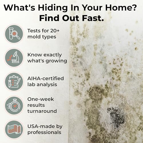 Mold Test Kit for Home – Lab Fees Included, Detects 20+ Mold Types, Swab & Air Sample Testing, Lab Analysis in 1 Business Day Once Lab Receives Sample (1 Pack)