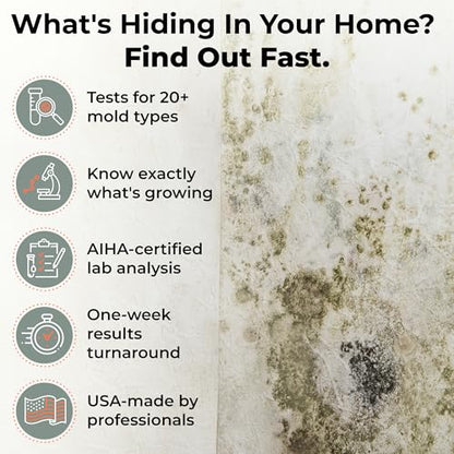 Mold Test Kit for Home – Lab Fees Included, Detects 20+ Mold Types, Swab & Air Sample Testing, Lab Analysis in 1 Business Day Once Lab Receives Sample (1 Pack)