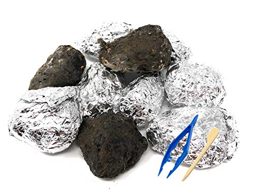 PelletPal Premium Barn Owl Pellets, Large (Pack of 10) - Free Bone ID Chart, 10 Forceps, 10 Paddle Picks, and Teaching Guide Included!