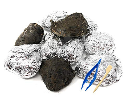 PelletPal Premium Barn Owl Pellets, Large (Pack of 10) - Free Bone ID Chart, 10 Forceps, 10 Paddle Picks, and Teaching Guide Included!