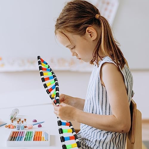 Generic DNA Model Double Helix Model Removable Molecular Kit for Science Class Biology Classroom Display Science Models for Students and Learning