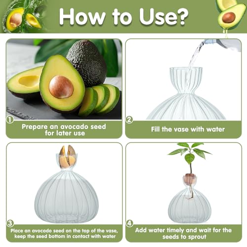 Large Avocado Grow Vase Glass Striped Acorn Seed Starter Vase for Growing - size: 1PCS Striped 5.9*5.9*1.96inch