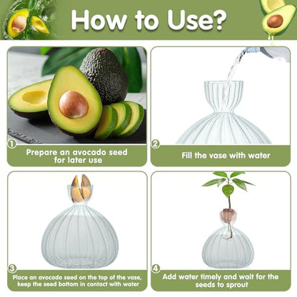 Large Avocado Grow Vase Glass Striped Acorn Seed Starter Vase for Growing - size: 1PCS Striped 5.9*5.9*1.96inch