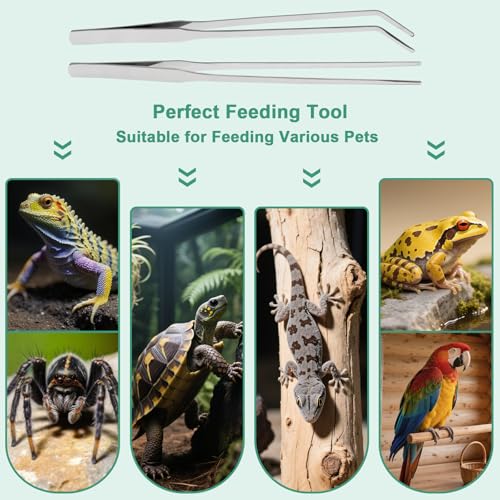 Syn-zer Reptile Feeding Tongs, 10.6" Straight & Curved - color: Silver