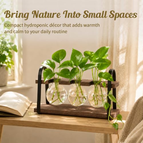 3-Bulb Plant Propagation Station, Glass Vase Terrarium, Brown - color: Brown