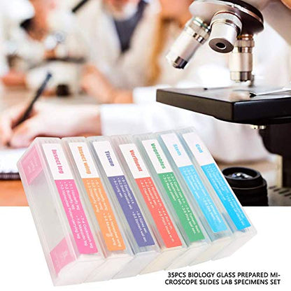 35pcs Microscope Slide, Assorted Cytology Botany Zoology Entomology Prepared Slides Biology Glass Lab Specimens Set for Students Science Experiment Teaching