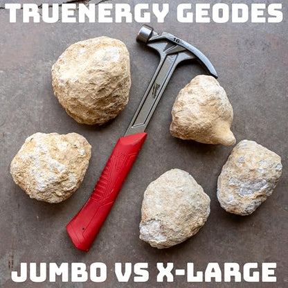 TruEnergy Jumbo Break Your Own Geodes – 2 Massive Natural Crystal Geodes 4.5 to 6.5 Inch, Easy Crack-Open Geology Specimens – Magnifying Glass & Geologist Guide – Gift Ready - [Jumbo] - size: JUMBO (4.5"-6.5")