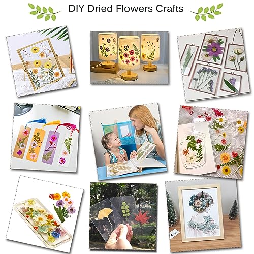 Rhykoka Large Flower Press, 10 Layers 11.8 x 8.3 Inches Wood Leaf Flower Press Kit for Adults, Teens