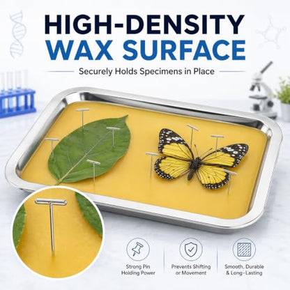 iplusmile 6 Pack Dissection Trays with Wax, 10.2 x 7.5 Inch Stainless Steel Dissection Pans, Reusable Wax Lab Trays for Biology Classroom Anatomy Science Education - color: Yellow