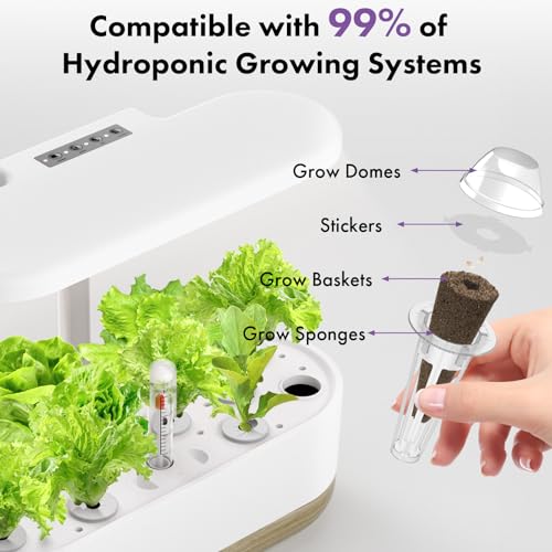 LYKOCLEAN Salad Romaine Lettuce Pods for AeroGarden, Ahopegarden, iDOO Hydroponics Growing System, 350 Seeds+ Including American Fast Lettuce, Paris Island Cos Lettuce, Buttercrunch Lettuce(7-Pods) - color: Lettuce, size: 7pods