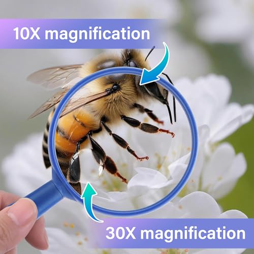 Lakei 10X Handheld Reading Magnifier Glass, Non-Slip Handle,75mm(Blue) - color: Blue, size: 75mm