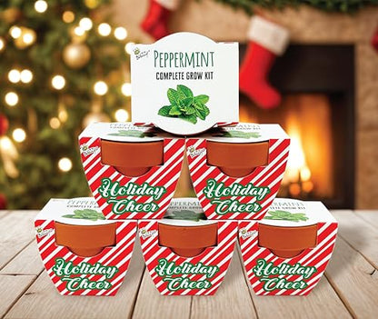 BUZZY Seeds Candy Cane Peppermint Grow Kit 6-Pack, Terracotta Pots - color: 6pk Candy Cane Peppermint