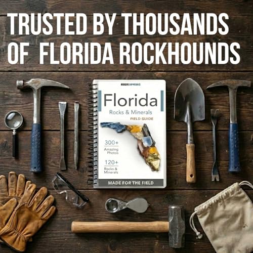 Florida Rocks & Minerals Identification Field Guide | Waterproof