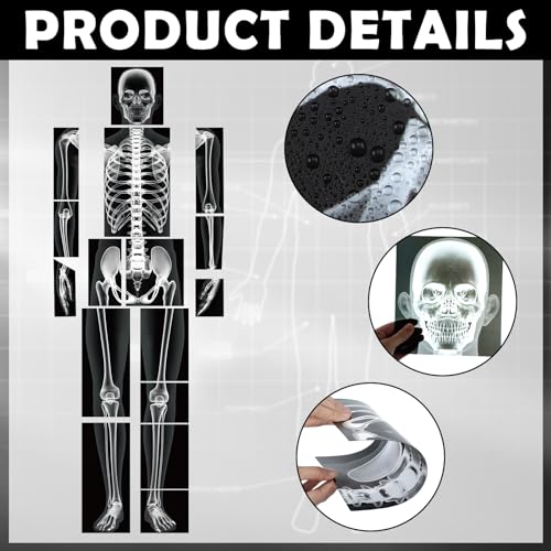Lineshading 16 Pieces Human x Rays Bones Pretend x Rays for Kids Human Bones Body Educational Science Kit Display Play Table(Black and White) - color: Black and White