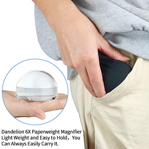 Dandelion 6X Dome/Paperweight Magnifier w/Pouch Table Magnifying - size: 2.5 inch