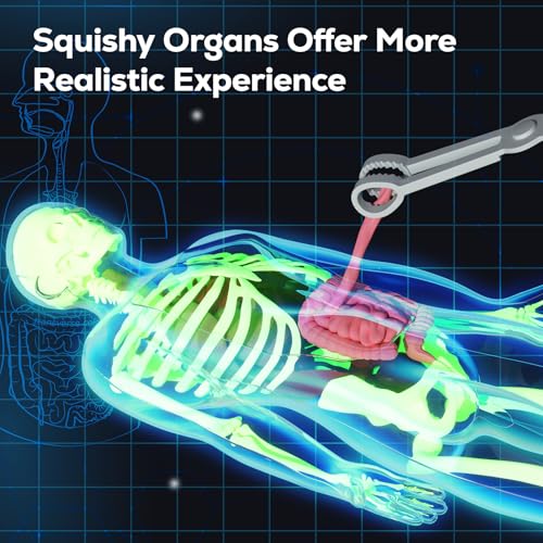 GobiDex Human Body Skeleton Model Kit, Glow in The Dark Science Kit for Kid
