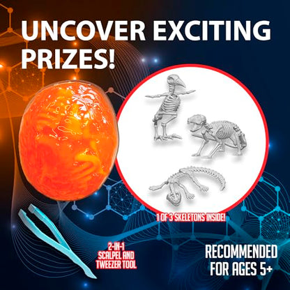 Discover-It Owl Pellet, Science Lab Kit, STEM Toys for Kids, Ages 5+ - style: Owl Pellet