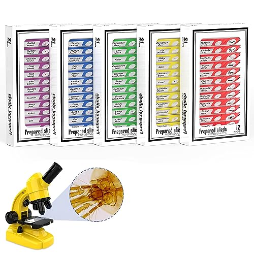 60pcs Microscope Slides with Specimens for Kids – Kids Prepared Stereo Microscope Slides for Stereo Microscope and Other, Animals Insects Plants Flowers Specimens - size: 60pcs