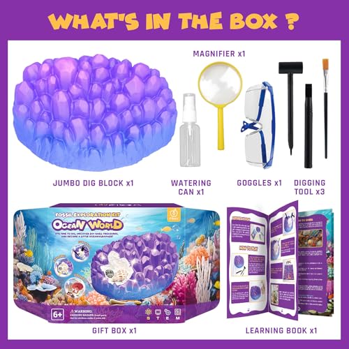 PIBEX Ocean Fossil Dig Kit, 20+ Real Shells & Seasnails, Sea Creature Toy - size: Ocean World (20+ Fossils)