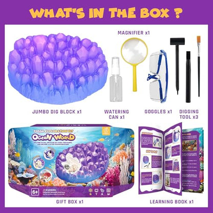 PIBEX Ocean Fossil Dig Kit, 20+ Real Shells & Seasnails, Sea Creature Toy - size: Ocean World (20+ Fossils)