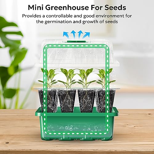 MIXC 10 Pack Seed Starter Tray, 120Cell Stater Kit with Humidity Dome Green - color: Green, size: 12 Cell-10 Packs-Clear Cover