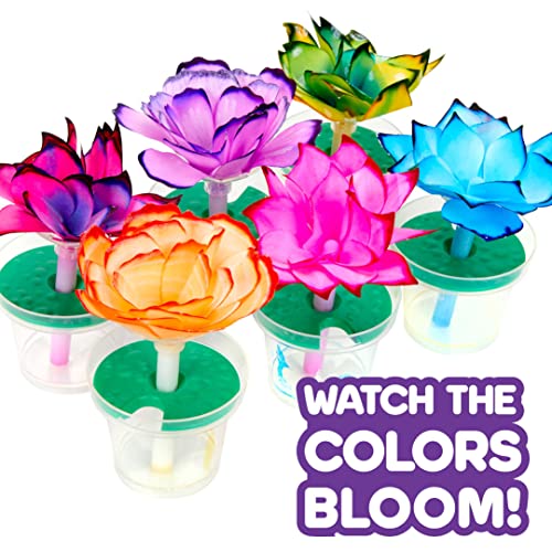 Crayola Paper Flower Science Kit, Color Changing Flowers, Gift for Kids Ages 7, 8, 9, 10 - size: small to medium