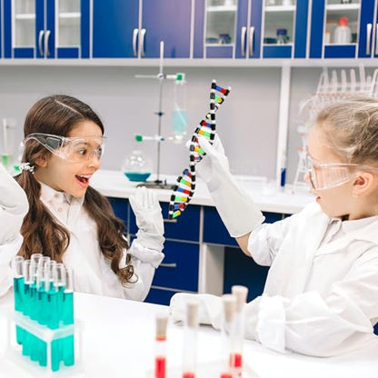 TOYANDONA DNA Model Kit, Twistable DNA Double Helix Structure Model DNA Double Helix Model with Storage Box for School Student Science Teaching Educational Learning