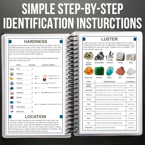 Florida Rocks & Minerals Identification Field Guide | Waterproof