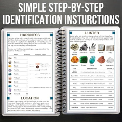 Florida Rocks & Minerals Identification Field Guide | Waterproof