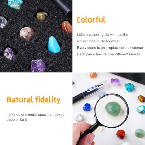 43 Pieces Rock Kit for Geology Enthusiasts | Rock Collection with Mineral Testing Tools, Crystal Geode Display & Volcanic Samples | Beginner to Advanced Specimen Study