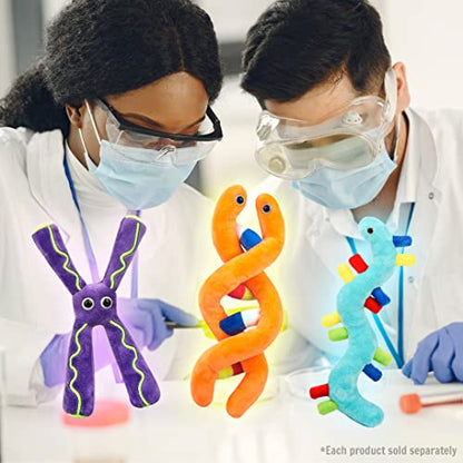 GIANT MICROBES Chromosome Plush, Genetics Gift, DNA Gifts, Genealogy, Ancestry Gift, Biology Plushies, Genetic Counselor, Forensic Science Gifts, Biology Models (Pack of 2) - size: 8 x 5 x 1.5 inches (Pack of 2)