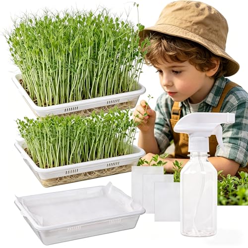 Acrylic Microgreens Growing Trays 3-Pack with Silicone Mats & Spray Bottle – Clear Hydroponic Germination Kit for Vegetables, Wheatgrass, Cat Grass – Soilless Trays for Home Kitchen & Classroom