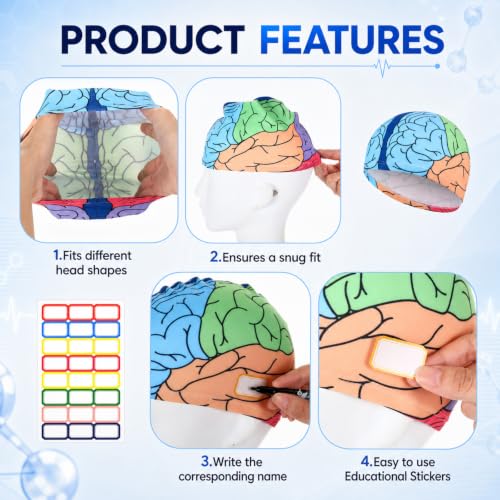 Janmercy Brain Hat for Teaching Human Anatomy Learning - color: Blue