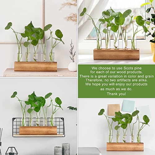YIBOT Plant Propagation Station, Plant Terrarium with Wooden Stand - color: Brown, size: 8.7"L x1.6"W x2"H