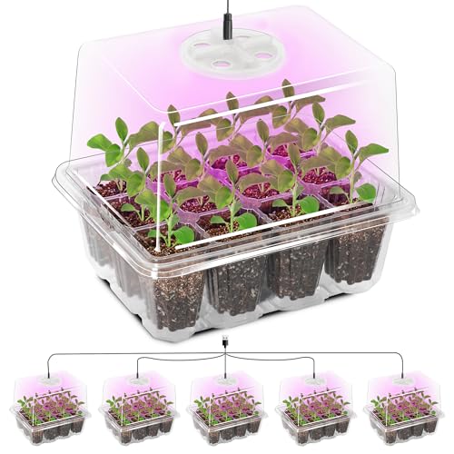 Bonviee Seed Starter Trays with 12-LED Grow Lights, Clear, 5 Pack - color: Clear, size: 5 Packs