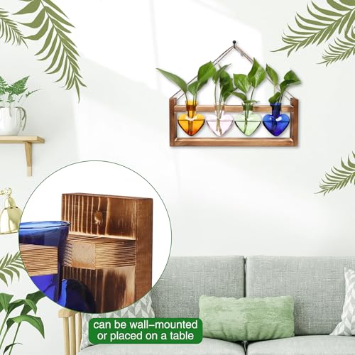 Plant Propagation Stations Heart Plant Terrarium Kit - color: Color02