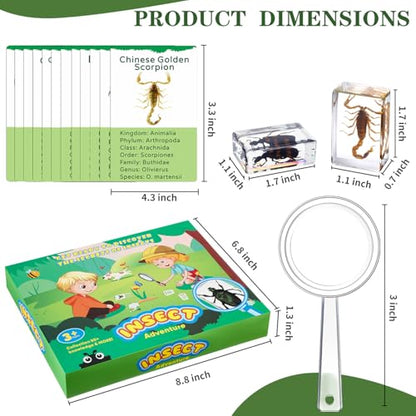 Briwooody 12 Pcs Insect in Resin Specimen, Bugs Collection, Mix - style: Mix