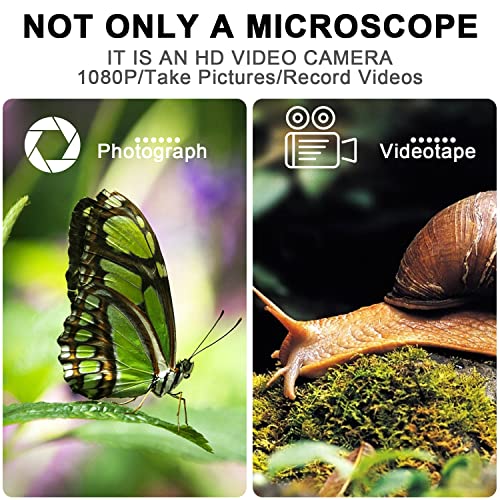 4K 3840x2160P Wireless Digital Microscope, Handheld HD USB Inspection Camera Endoscope 50x-1000x Magnification, Compatible with iPhone iPad Android Phone Tablet Windows Mac (with Stand)