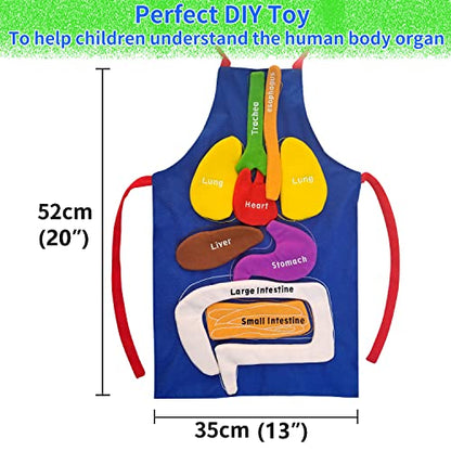 Boczif 3D Organ Apron Awareness Educational Toy, Human Body Model for Kids