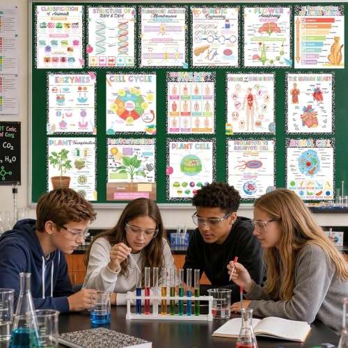 Yakydesign 16PCS Composition Life Science Posters High School Classroom Decoration Biology Poster Charts Classroom Supplies Biology Education Bulletin Board for Teachers School Office Wall Door Decor