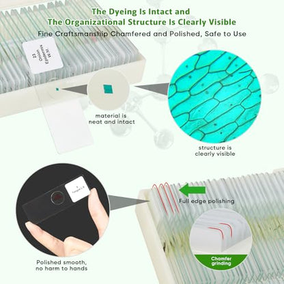 30 Prepared Microscope Slides with Specimens,Glass Slides for Microscope,Prepared Slides Microscope,Microscope Slide Preparation Kit for Biology Science Classes - size: 30 pcs
