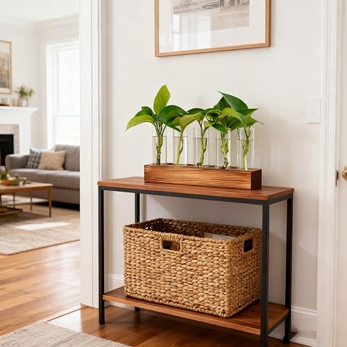 Renmxj Plant Propagation Station, Plant Terrarium with Wooden Stand - size: 5 Test Tube