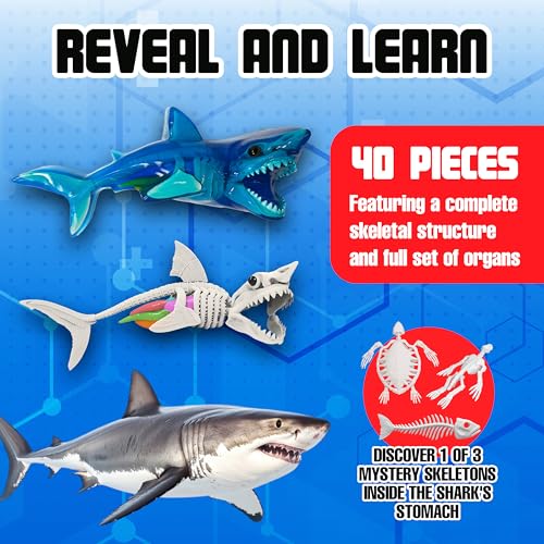 Dissect-It, Shark Dissection Kit, STEM Toys for Kids, Ages 6+