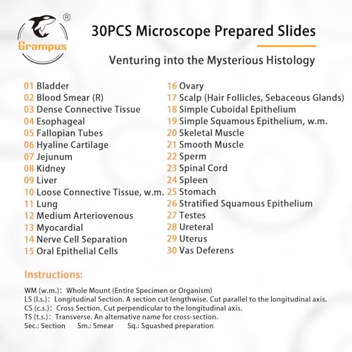 30 Prepared Microscope Slides with Specimens for Kids Students - Histology, for Biological Science Lab, Children's Science Education, Homeschooling Use - style: 30PCS Histology