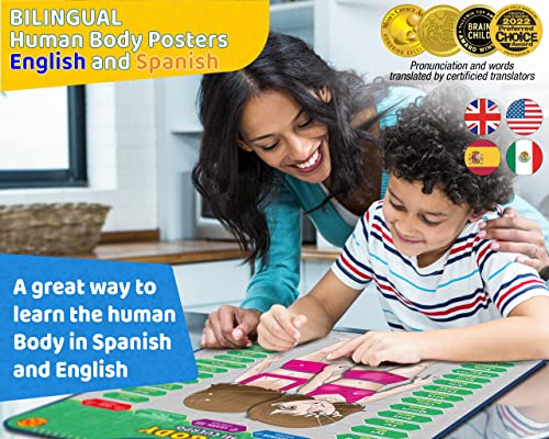 Bilingual Human Body Model for Kids - Interactive Human Anatomy Poster - color: Human Body