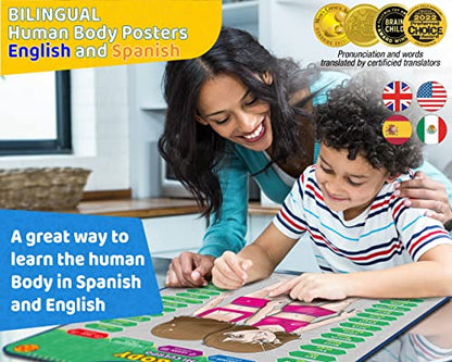 Bilingual Human Body Model for Kids - Interactive Human Anatomy Poster - color: Human Body