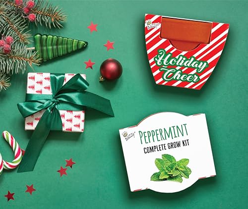 BUZZY Seeds Candy Cane Peppermint Grow Kit 6-Pack, Terracotta Pots - color: 6pk Candy Cane Peppermint