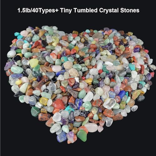450 Pieces Rocks Collections for Kids, 40+ Kinds Gemstones and Crystals Set, Rocks and Minerals Science Kit Include 1.5lb Tumbled Chips Crystals and 1lb Tiny Rough Stones