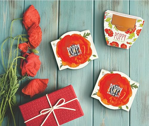 BUZZY Seeds Poppy Grow Kit 12-Pack, Mini Terracotta Pots, Indoor/Outdoor - color: 12pk Poppy