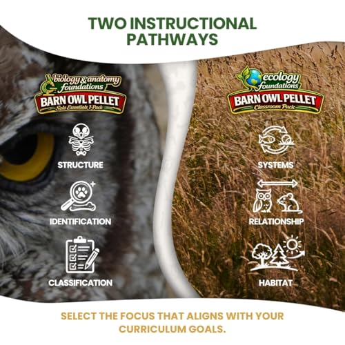 Barn Owl Pellets for Dissection for Classrooms, Medium 10-Pack Kit by OBDK - size: Medium (1.5 to 2.5 inches)